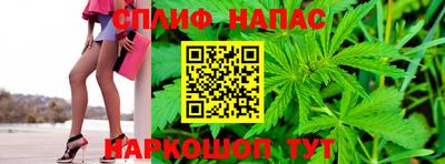 МДПВ Будённовск