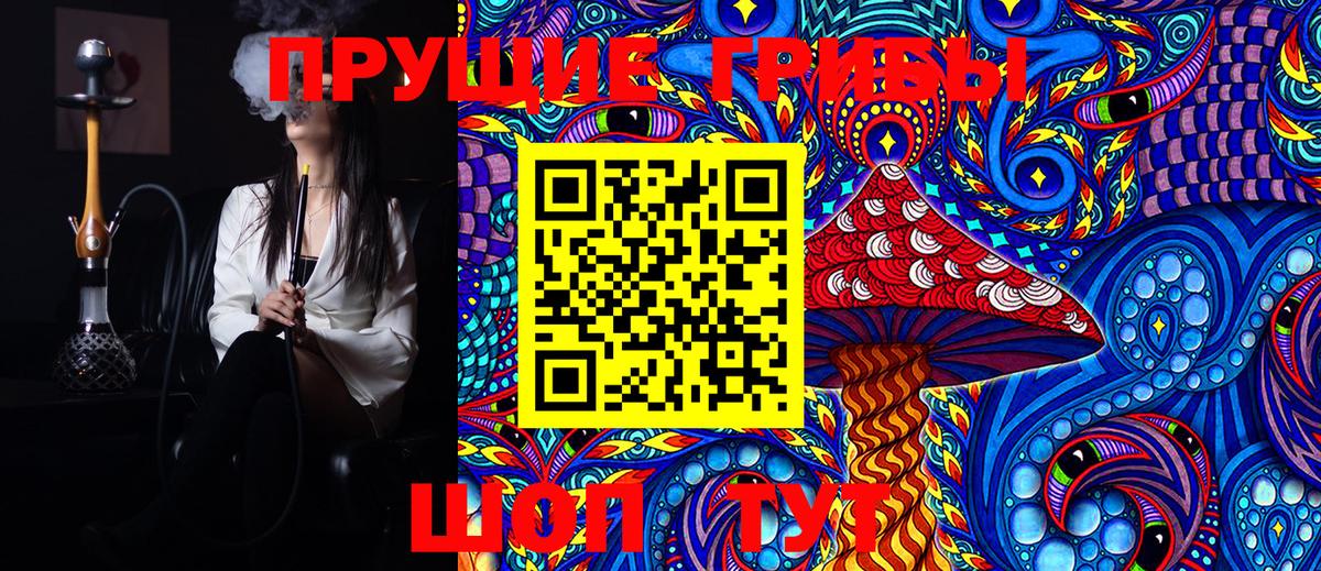 Псилоцибиновые грибы GOLDEN TEACHER  Вход с VPN  где найти наркотики  Ростов Великий  Галлюциногенные грибы прущие грибы 