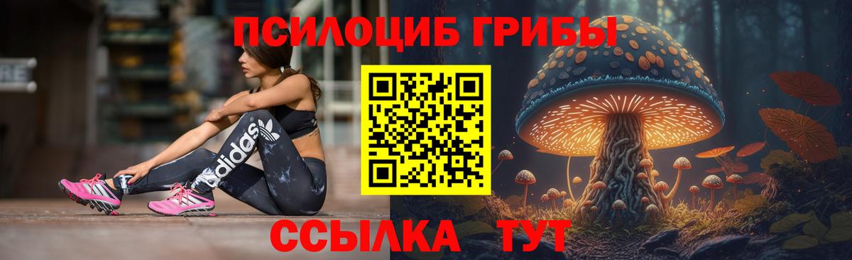 Галлюциногенные грибы мухоморы Ростов Великий